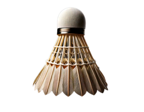  badminton shuttlecock 3d render,sports equipment