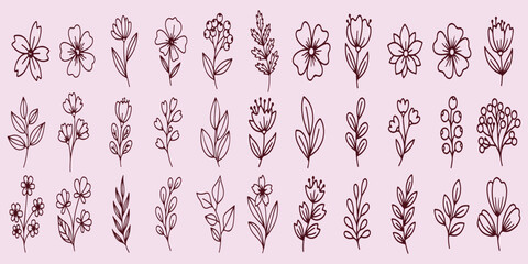 Floral Icons Set, Collection Of Hand Drawn Flower And Leaf Symbols For Wedding Design Project Management And Nature Decoration Applications

