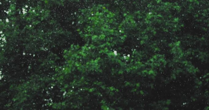 calm grass field loop &ndash; minimal nature background