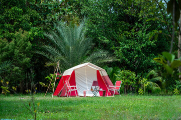Camping tents at morning, vintage cabin tents, antique oil lamps, retro chairs, and a group of camping tents with outdoor coffee-making facilities on wooden tables in a forest camping area.