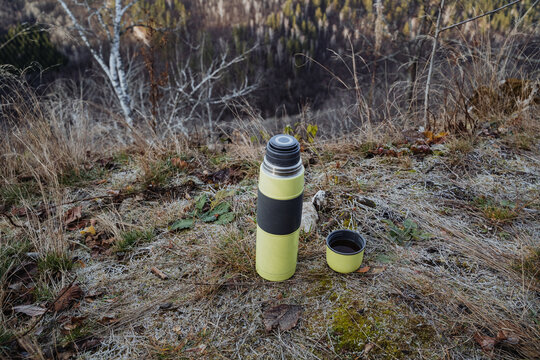 Quiet nature setting, Peaceful hilltop environment featuring beverage among trees and moss, Serene natural environment showcasing warm drink atop tranquil grassy hill surrounded by lush - Powered by Adobe