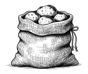Vintage Engraving of a Sack of Potatoes. Rustic Farm Food Vector Illustration for Sustainability Concepts.