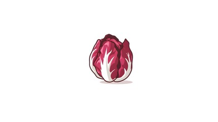 Minimal 2D Vector Illustration of Radicchio Icon in Flat Style on a Clean and Simple White Background Emphasizing Modern Digital Art and Clarity