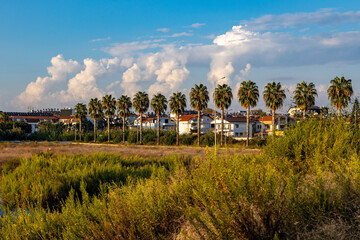 Tall palm trees lining a road illuminated by warm evening sun, white houses with tile roofs, and fluffy cumulus clouds against blue sky over grassy lawn. Side, Antalya, Turkey.

