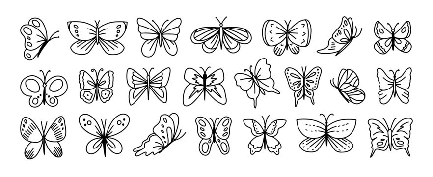 Doodle butterfly. Sketch flying butterflies with beautiful wings. Spring cartoon insects black silhouette. Elegant simple moth clipart. Vector isolated set