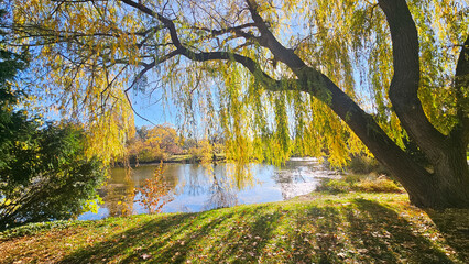 Naklejka premium Herbst im Park