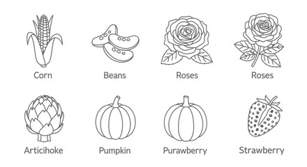 Line art illustration of various fruits vegetables and flowers in black and white