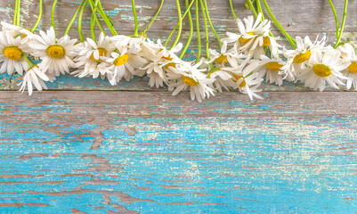 Happy Mothers day greeting card template. Frame of white daisy flowers on a old blue paint wooden background; copy space