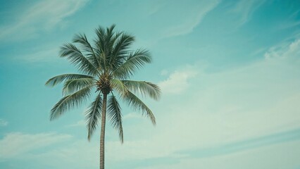 A solitary palm tree against a sky with clouds.