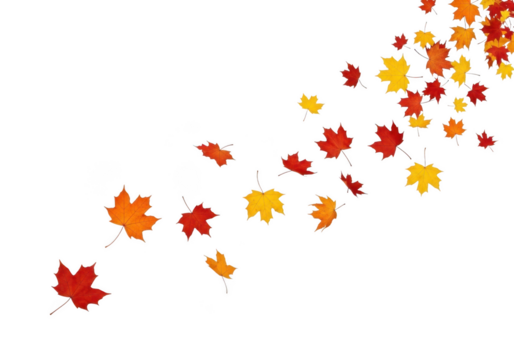 Falling autumn maple leaves in a diagonal line, isolated on transparent background