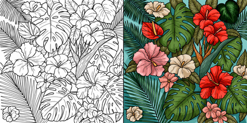 Tropical Hibiscus Flowers and Monstera Leaves Floral Arrangement - Black and White Line Art Coloring Page and Vibrant Colored Vector Illustration
