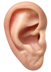 Naklejka premium close up of a human ear isolated