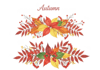 Watercolor autumn floral arrangement with red and yellow leaves and berries, isolated on transparent background
