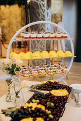 Naklejka premium Tiered dessert stand with panna cotta mousse domes and mini cakes at elegant reception