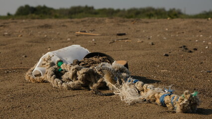 Human waste pollutes the beach