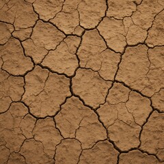 Parched earth with a network of cracks; arid landscape with soil desiccation.