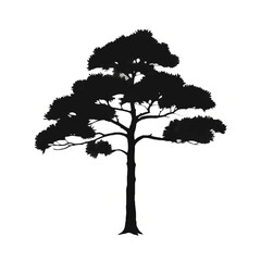 Deciduous Tree Silhouette on White Background

