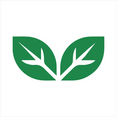 Simple green leaf icon with white veins representing growth and nature on a white background