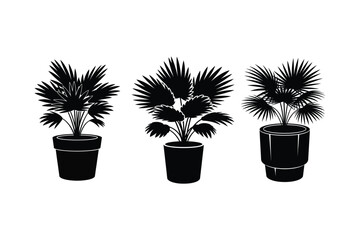 A set of Indoor Decorative Plant in Pot silhouette vector art illustration