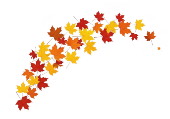 A curved scattering of colorful maple leaves in red, orange, and yellow, isolated on transparent background