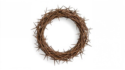 A crown of thorns made of intertwined branches arranged in a circular shape.