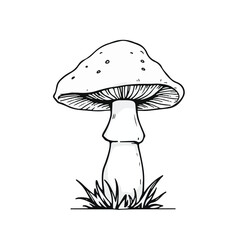 Mushroom black and white line art vector illustration