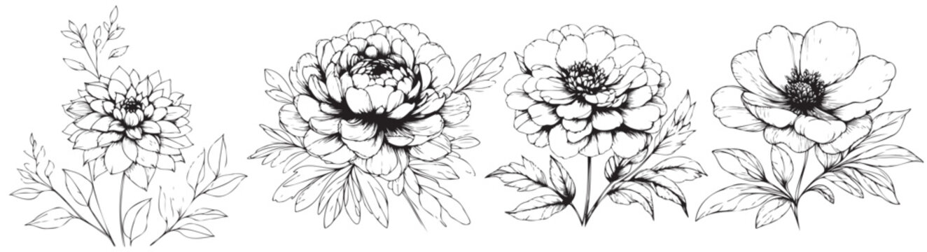 Four black and white flowers are shown in a row. The flowers are all different sizes and shapes, but they all have a similar style and look. The image has a classic, timeless feel to it