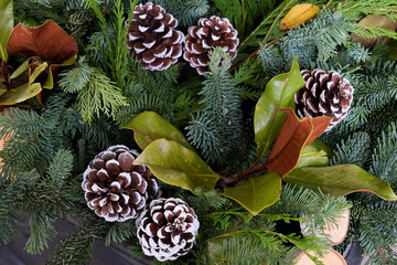 New York City, NY.  USA. Holiday pine decor with greens and pine cones. 