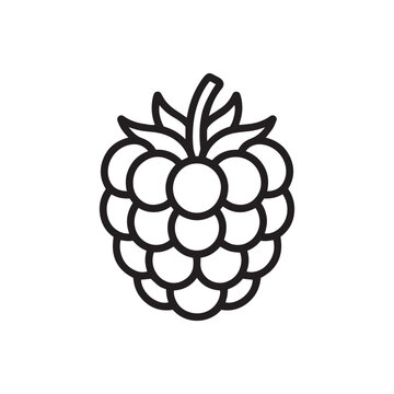 A simple black and white line art icon of a raspberry