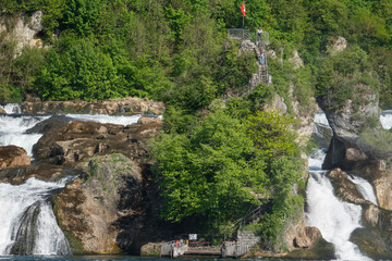 Rheininsel Bei Den Rheinfllen Schaffhausen
