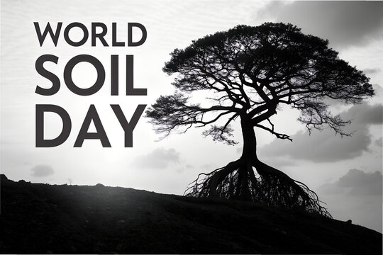 Black-and-white silhouette of tree with exposed roots and cloudy sky, emphasizing soil health for World Soil Day. generative ai