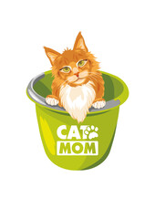 Cute ginger cat is peeking out of the bucket. Cat MOM