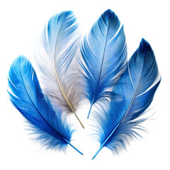 Feathers Clipart Blue and white Feathers on a isolated white background. PNG