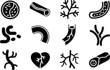 Medical illustration of circulatory system parts with veins and arteries set