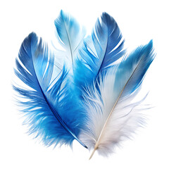 Feathers Clipart Blue and white Feathers on a isolated white background. PNG