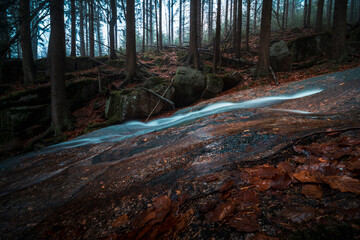 Leśny strumyk, potok, las , drzewa, natura, mech, kamienie, skały,  © Adrian Jaśpiński