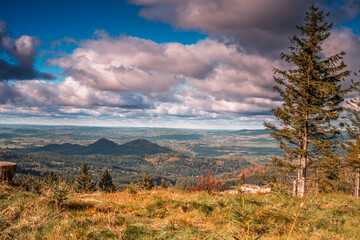 Drzewa, las, natura, góry, krajobraz, fotografia leśna,  © Adrian Jaśpiński