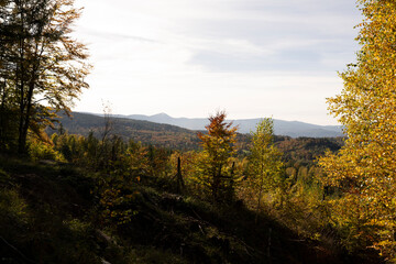 Natura, las, góry, drzewa, krajobraz, jesienią, drzew, skały, Polska, Krajobraz, Jesień, Dolny śląsk,  © Adrian Jaśpiński