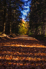 Natura, las, góry, drzewa, krajobraz, jesienią, drzew, skały, Polska, Krajobraz, Jesień, Dolny śląsk,  © Adrian Jaśpiński
