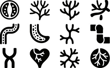 Black and White Vector Icons Showing Human Anatomy and Biology