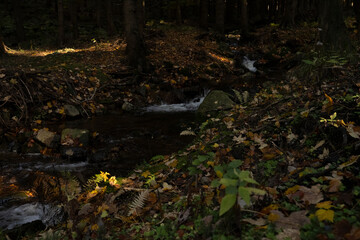 Natura, las, góry, drzewa, krajobraz, jesienią, drzew, bory, zółty, niebo, drewna, park, brzoza, potok, strumyk