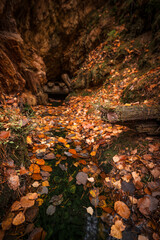 Natura, las, góry, drzewa, krajobraz, jesienią, drzew, skały, Polska, Krajobraz, Jesień, Dolny śląsk,  © Adrian Jaśpiński