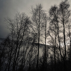 Natura, las, góry, drzewa, krajobraz, jesienią, drzew, skały, Polska, Krajobraz, Jesień, Dolny śląsk,  © Adrian Jaśpiński