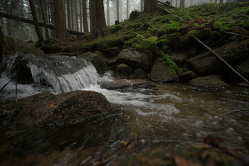 Natura, las, góry, drzewa, krajobraz, jesienią, drzew, skały, Polska, Krajobraz, Jesień, Dolny śląsk,  © Adrian Jaśpiński