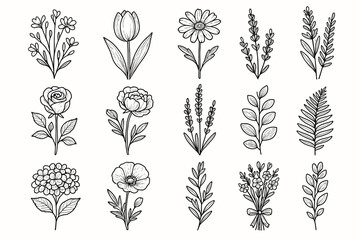 Hydrangea leaf tulip ribbon vector poppy floral flowers icon set delicate lavender