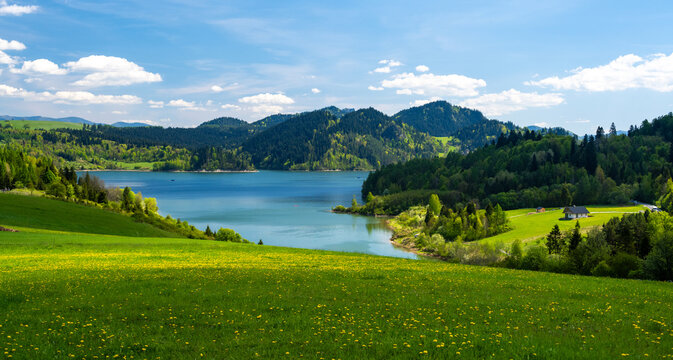 spring meadow on Lake Czorsztyn in Pieniny mountain in Poland
