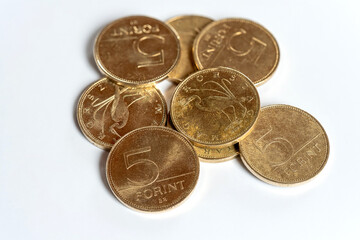 Hungarian forint coins, current currency (HUF), depicting a great egret