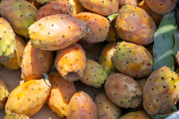 Ripe prickly pear cactus fruit on display. Fresh cactus fruit (Prickly pear) close-up. Exotic prickly pear fruit isolated.