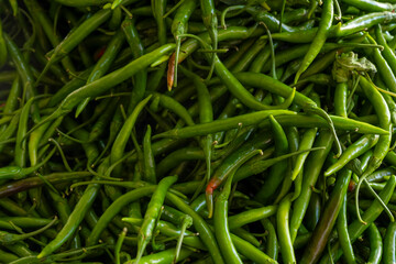 Organic green pepper on display. Fresh green pepper. Freshly harvested green pepper.