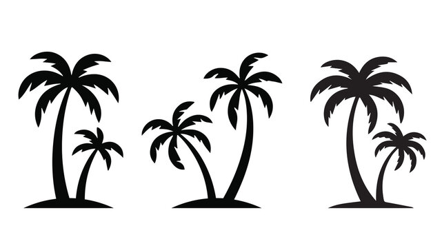 tropical coconut, palm tree silhouette
